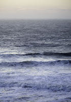 Seascape #3